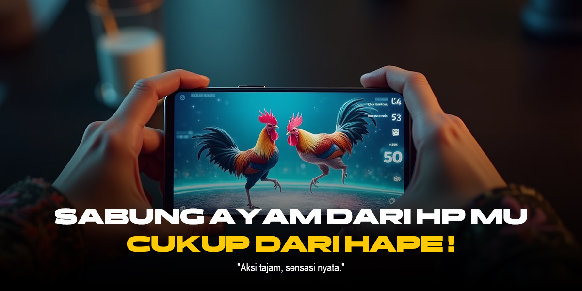 Mengungkap Rahasia Ayam Bangkok di Sabung Ayam SV388