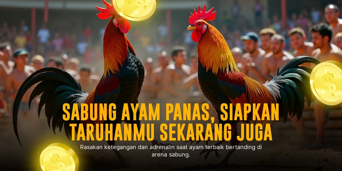 Mengenal Jenis Ayam Aduan Terbaik di SV388 Sabung Ayam